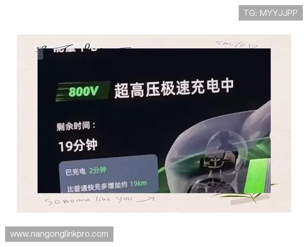 全面解析热门体育平台推荐助你轻松选择最适合的应用