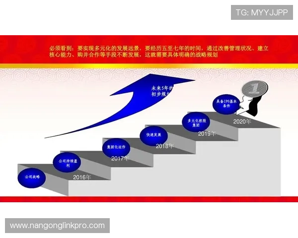 斯旺西俱乐部发展历程与未来战略全面解析