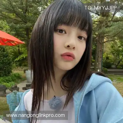 沈辉
